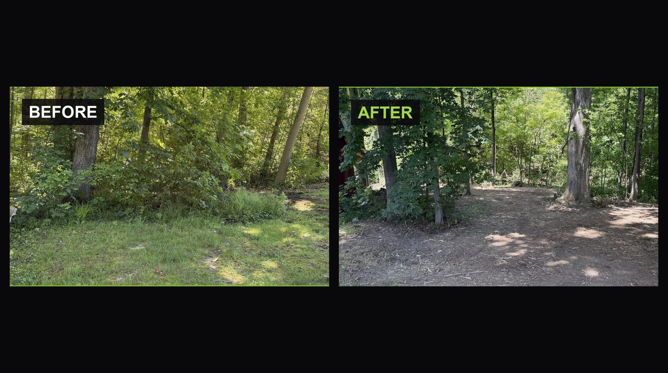 Fence line buried in brush before clearing, and the same fence line opened up after mulching