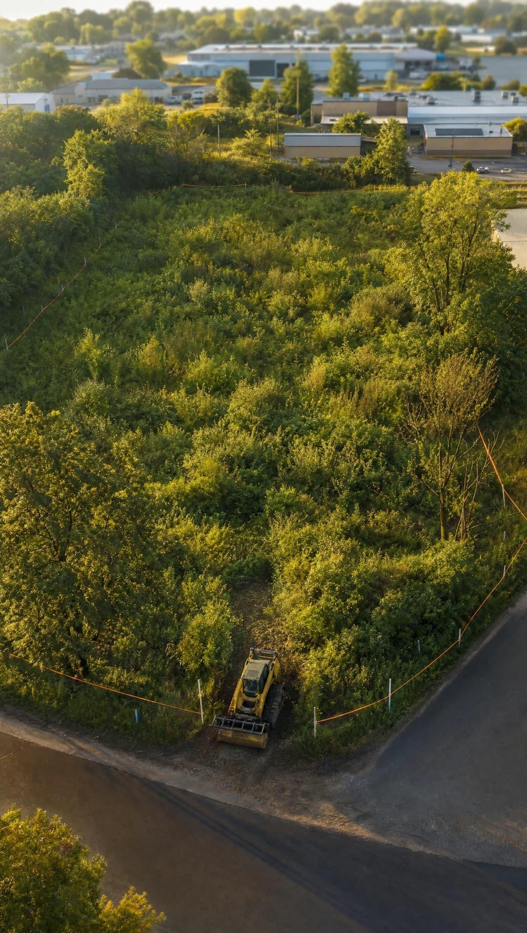 Illustrated commercial parcel progressing from overgrown brush to an open mulched work area