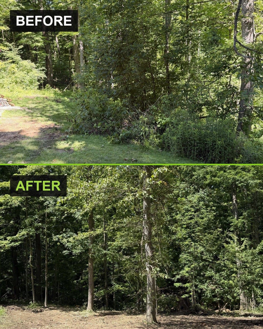 Before and after photographs of the boundary between lawn and woods on a Russell, Ohio property