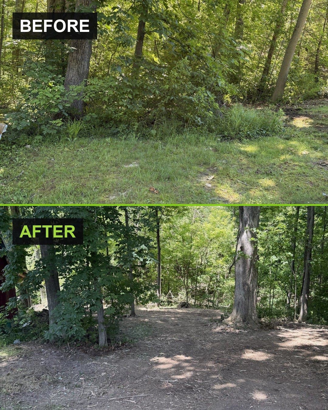 Before and after photographs of a wooded property edge in Russell, Ohio opened up