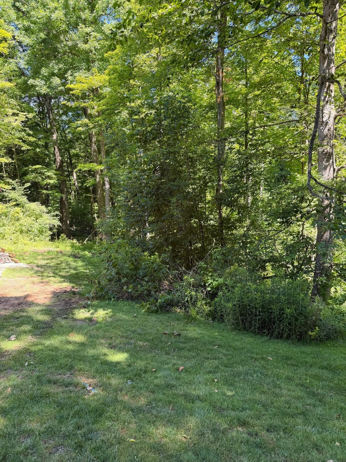 A lawn meeting an opened woodland edge on a BrushBoss job